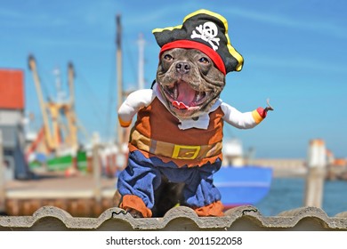 Funny laughing French Bulldog dog dressed up in pirate costume with hat and hook arm 