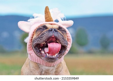 Funny laughing French Bulldog dog with mouth wide open wearing  pink unicorn hat costume