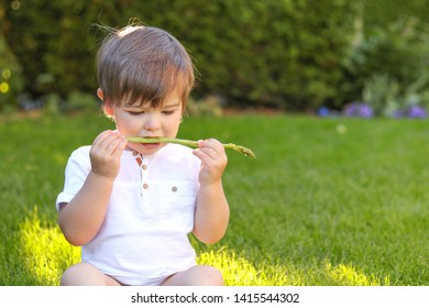 Funny Little Boy Eating Fresh Asparagus Holding It In His Mouth. Baby Trying And Tasting New Food. Dieting, Vegetarian And Healthy Nutrition Concept.