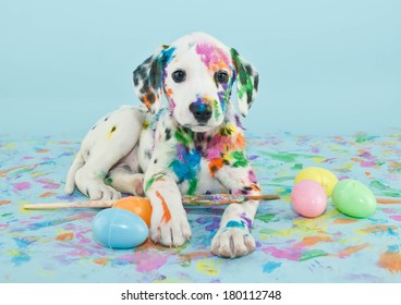 A funny little Dalmatian puppy that looks like he just painted some Easter eggs.