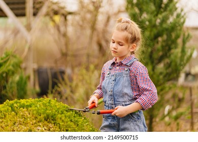 a funny little girl cuts bushes in the garden with large pruner. garden tools. garden care. training in the profession of a gardener. Landscaping.
