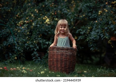 Funny Little Girl Is Hiding In An Apple Picking Basket. Image With Selective Focus And Toning.