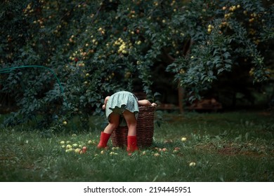 Funny Little Girl Is Hiding In An Apple Picking Basket. Image With Selective Focus And Toning.