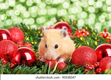 christmas hamster