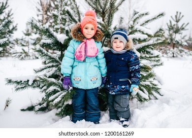 550,818 Snowy wood Images, Stock Photos & Vectors | Shutterstock