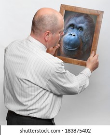 Funny Man And Mirror With His Monkey Face. Human Evolution And Darwin Theory Concept.