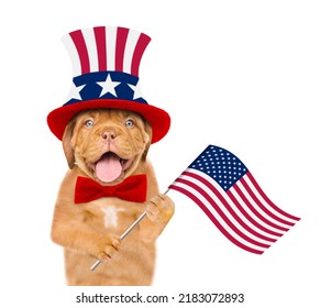 Funny Mastiff Puppy Wearing Like Uncle Sam Holds Flag USA. Isolated On White Background.