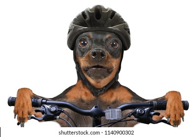 Velo Humour Images Stock Photos Vectors Shutterstock