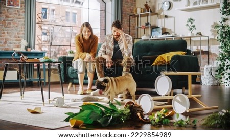 Funny Moment: Pug Dog Runs Away After Ruining Potted Flower by Overturning it and Making Mess in the Whole Apartment. Couple Sitting on Couch with look of Disbelief, Frustration. Cute Silly Puppy
