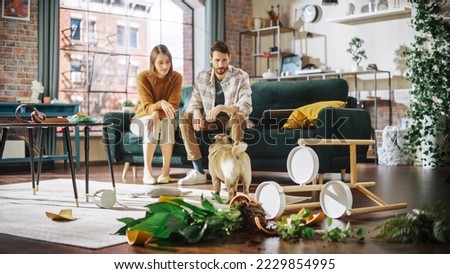 Funny Moment: Pug Dog Runs Away After Ruining Potted Flower by Overturning it and Making Mess in the Whole Apartment. Couple Sitting on Couch with look of Disbelief. Cute Silly Puppy