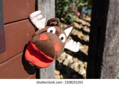 Funny moose puppet outdoors against blurred background