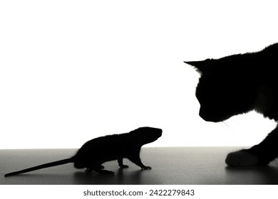 Funny Mouse and fun cats silhouette. Cat and mouse together isolated on a white background. Cat in Alertness Hunting on the Little Mouse on the Table. Cat hunt mouse closeup. Funny Cat. - Powered by Shutterstock