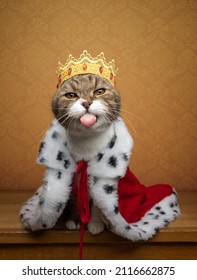 Funny Naughty Cat Wearing King Costume And Crown Like A Royal Kitty Sticking Out Tongue