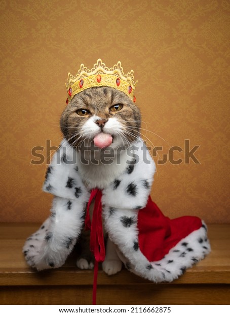funny naughty cat wearing king\
costume and crown like a royal kitty sticking out\
tongue