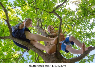 Funny Naughty Children Boys Climb Barefoot On Tree. Kids Hide From Parents And Play Together. Friendly Brothers Preschoolers.