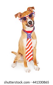 Funny Patriotic Dog Wearing American Flag Necktie And Sunglasses