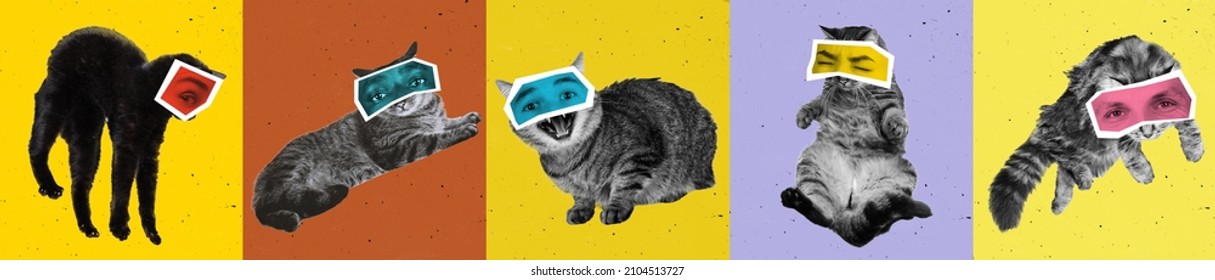 10,292 Pet animal collage Images, Stock Photos & Vectors | Shutterstock