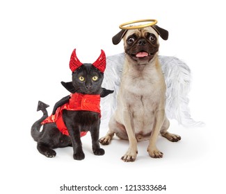 1,703 Hell Cat Images, Stock Photos & Vectors | Shutterstock