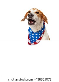 Funny Photo Of Dog Over White Sign Wearing American Flag Bandana With Mouth Open Barking