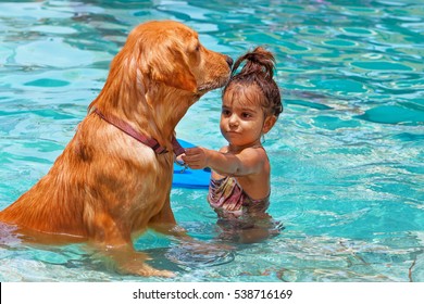 Funny photo of little baby swimming in outdoor pool, playing with retriever puppy. Children water sports activity and swimming lessons, training dogs, fun games with family pet on summer vacation. - Powered by Shutterstock