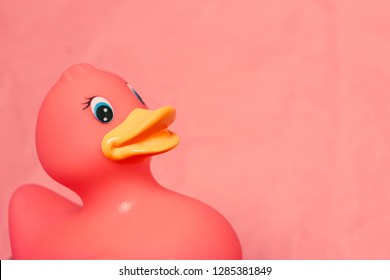 Funny pink rubber duck with a yellow beak on craft paper background. Place for text