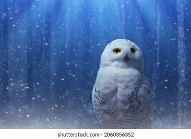 Funny polar owl perch on magic dark blue forest background with falling snow.Arctic white owl with yellow eyes close up.Predatory bird in wild nature habitat in winter.New year concept with copy space