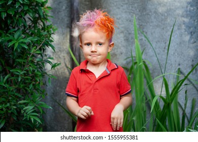 Funny Portrait Of Boy With Messy Hairstyle. Crazy Hipster Kid. Stylish Boy With Painted Colorful Hair. Happy Children Having Fun And Celebrating At Party In Family Summer Camp. Positive And Cheerful.