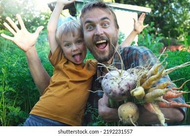 Funny Portrait Of Family Picking Seasonal Vegetables Carrots And Turnips From Local Garden. Father And Son Harvesting Crops Together. Sustainable Living, Permaculture, Homesteading.