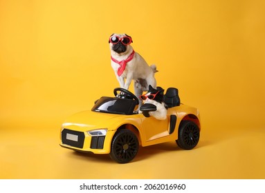 Funny Pug Dog And Cat With Sunglasses In Toy Car On Yellow Background