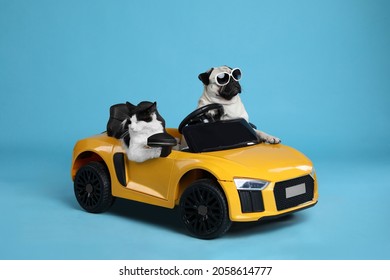 Funny Pug Dog And Cat In Toy Car On Light Blue Background