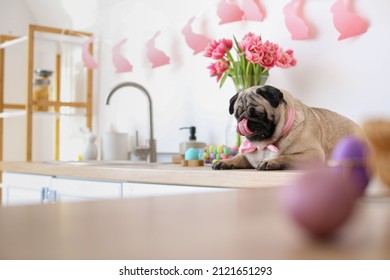 Funny Pug Dog In Kitchen On Easter Eve