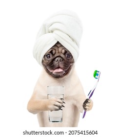 toothpaste for pugs