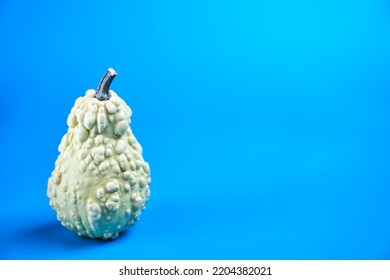 Funny Pumpkin On A Blue Background. Bizarre  Food -  Close Up Photo Of Weird White-green Pumpkin With Extra Space For Text