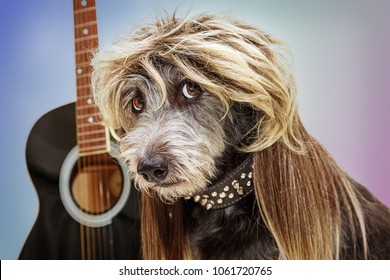 Funny Punk Rock Dog With Guitar Wearing A Mullet Hairstyle Wig And Spiked Collar
