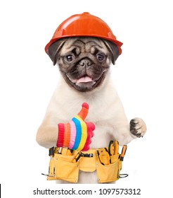 Funny Puppy Hard Hat Tool Belt Stock Photo 1097573312 | Shutterstock