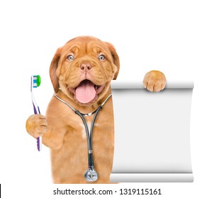 Funny puppy  with a stethoscope on his neck and with  toothbrush and toothpaste holds empty list. isolated on white background - Shutterstock ID 1319115161