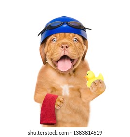 Funny puppy with swimming cap and goggles holding towel and rubber duck. isolated on white background