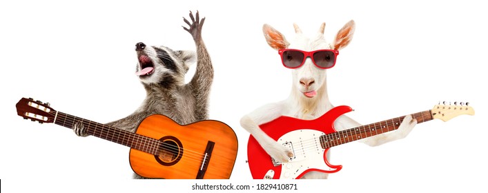 35,648 Funny Musicians Images, Stock Photos & Vectors | Shutterstock