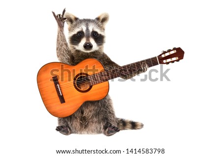 Funny raccoon with  acoustic guitar, showing a rock gesture, isolated on white background