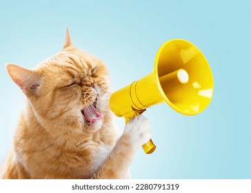 Funny red cat holds a yellow loudspeaker in its paws and screams on a blue background, a creative idea. Business and management, concept. Increase traffic, advertising and attention - Shutterstock ID 2280791319