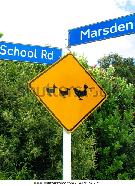 Funny road\
sign in New Zealand, beware of\
ducks.