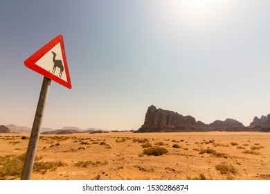 Funny road sign warning crossing camels in the Wadi Rum desert, in Jordan.
