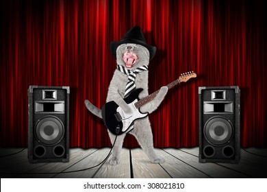 Funny Rock Star Cat With Guitar And Speakers On Stage