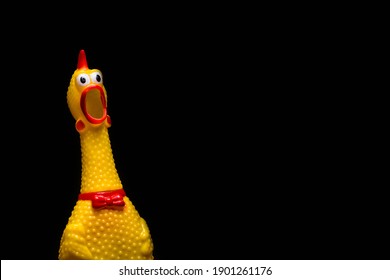 funny rubber toy of chicken, screaming opened mouth on black background.