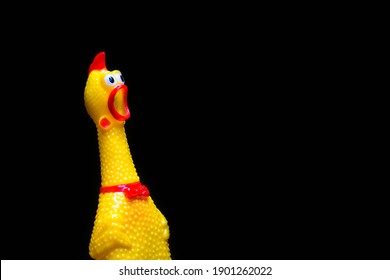 Funny rubber toy of chicken, screaming opened mouth on black background.
