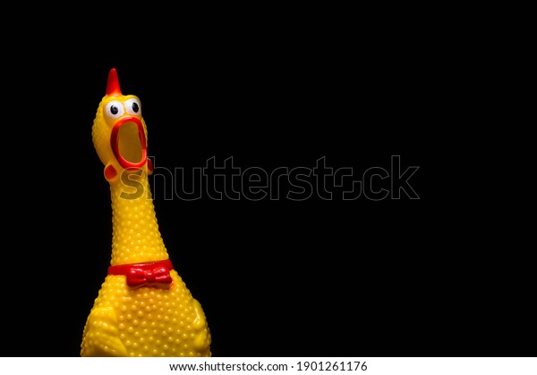 funny rubber toy of chicken, screaming opened\
mouth on black\
background.