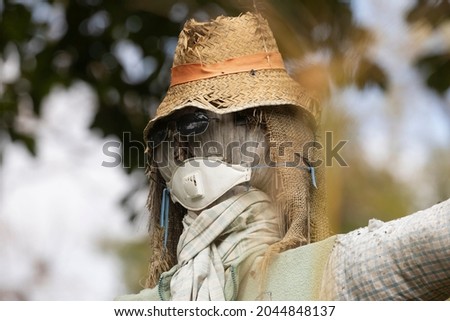 A funny scarecrow doll, wearing sunglasses and a shirt, in an urban garden in Madrid, Spain