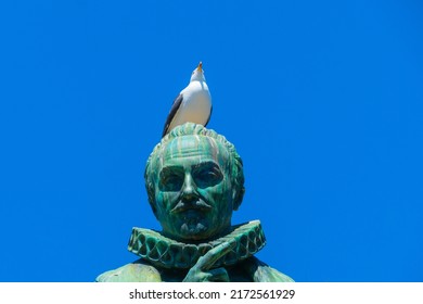 Funny Seagull on Head of Sculpture 