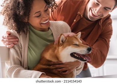 Funny Shiba Inu Dog With Closed Eyes Sticking Out Tongue Near Happy Interracial Couple