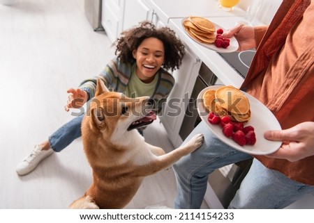 funny shiba inu dog sticking out tongue near man with pancakes and african american woman laughing on kitchen floor